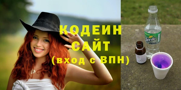 амф Корсаков