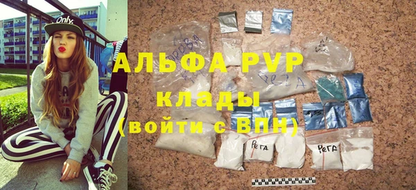 ECSTASY Алзамай