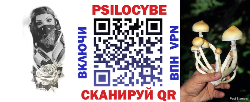 KRAKEN ссылки  Сенгилей  Галлюциногенные грибы Psilocybine cubensis  дарнет шоп 